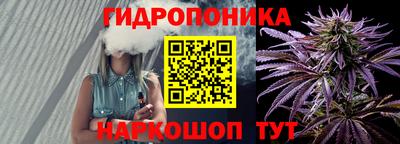 амф Владимир