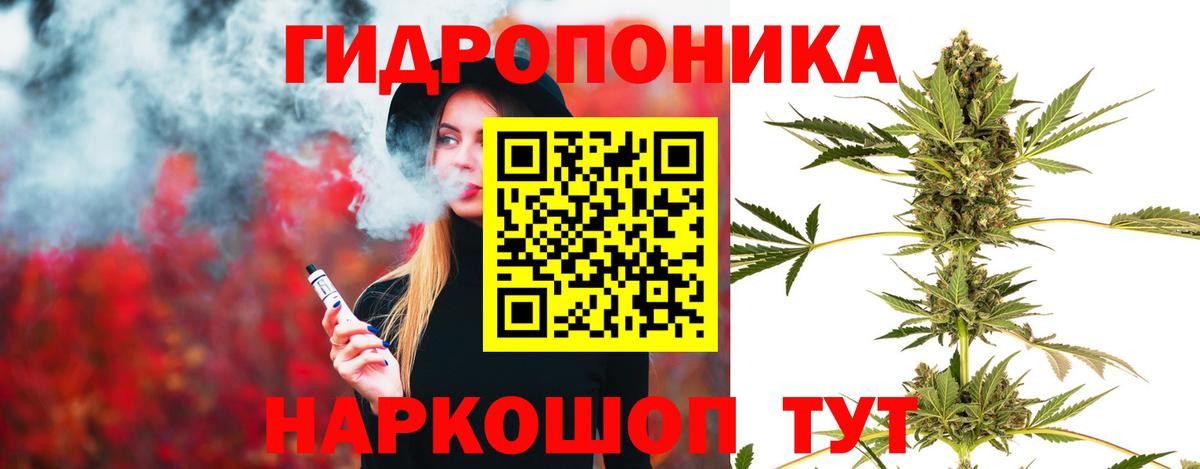 Каннабис Amnesia Гудермес